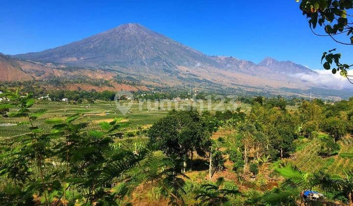 Di Jual Tanah Bukit View Terindah Sembalun Lombok