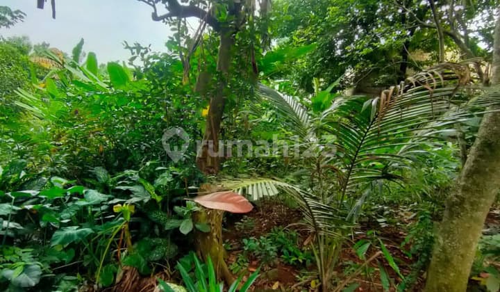 Kavling Murah Siap Bangun dan Cocok Untuk Perumahan @Limo Cinere.