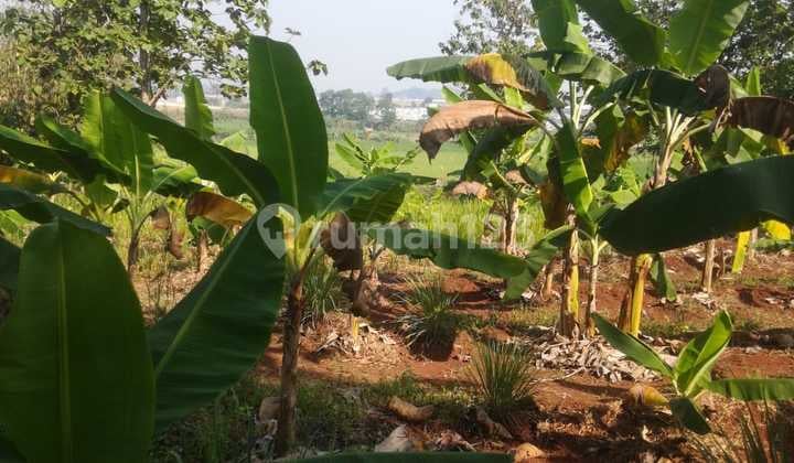 Dijual Tanah Strategis di Purwakarta