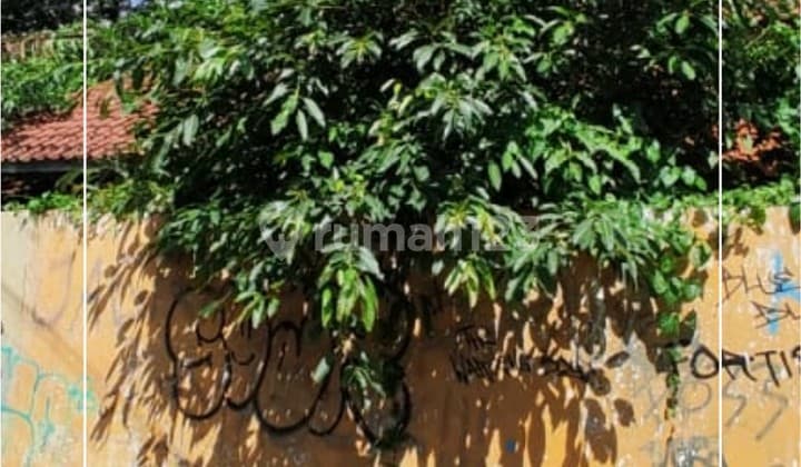 Jual Hitung Tanah Lt 248 Daerah Bkr Pasirluyu Pasirsalam