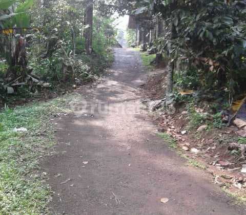 Kavling Padalarang Cocok Untuk Perkebunan