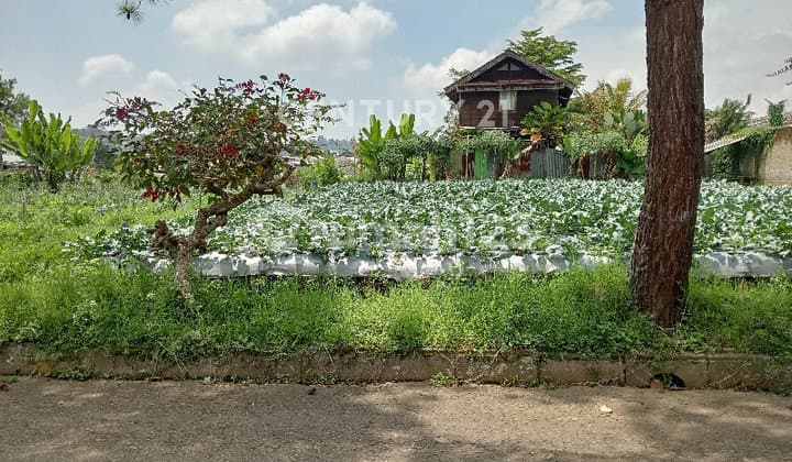 Murah Setiabudi Bandung View Kota Udara Sejuk Nyaman Elite