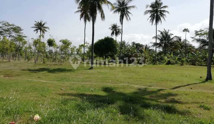 Tanah Strategis Jalan Karangsari, Pananjung, Ciamis Pangandaran