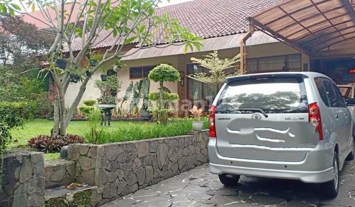 Nice House Can Be For Business, Sukajadi Wing, North Bandung