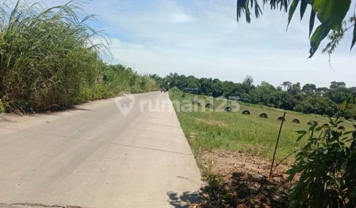 Jual Tanah Luas 1 Ha, di daerah Babat Legok, Tangerang Seb 30 M