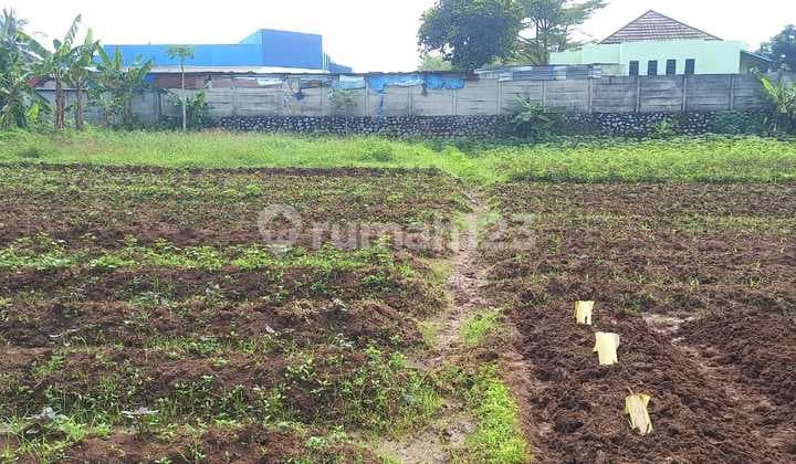 Dijual Tanah Kav.luas 2.954m2 Di Sukamulya. Tangerang