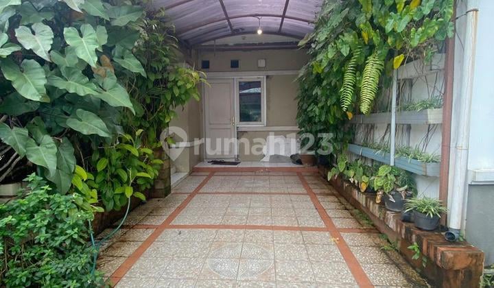 Rumah Dijual Bintaro Sektor 9 Siap Huni Harga Nego