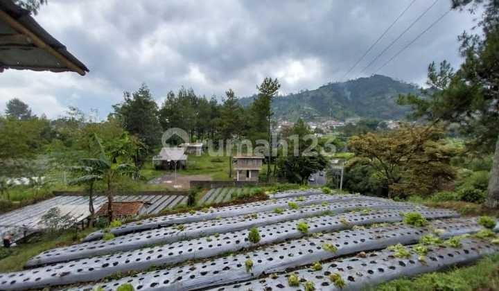 Dijual Tanah pinggir Jalan dekat ke Tangkuban Perahu Bandung