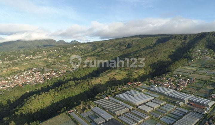Tanah di Lembang Bandung 10 Hektare, 100.000 M2, Sertifikat SHM Tanah Cocok untuk Resort, Villa Hotel, Glamping