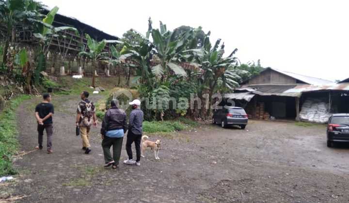 Tanah petak ruang usaha ternak ayam di Bogor