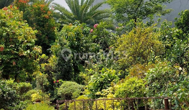 Green Garden Boulevard plot land