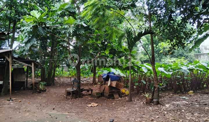 Dijual Tanah Bintaro Surat Sertifikat HGB