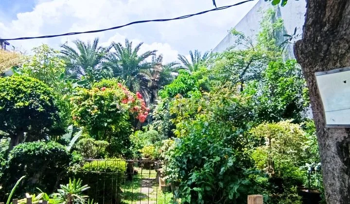 For Sale Green Garden Plot Land For Sale Green Garden Plot Land