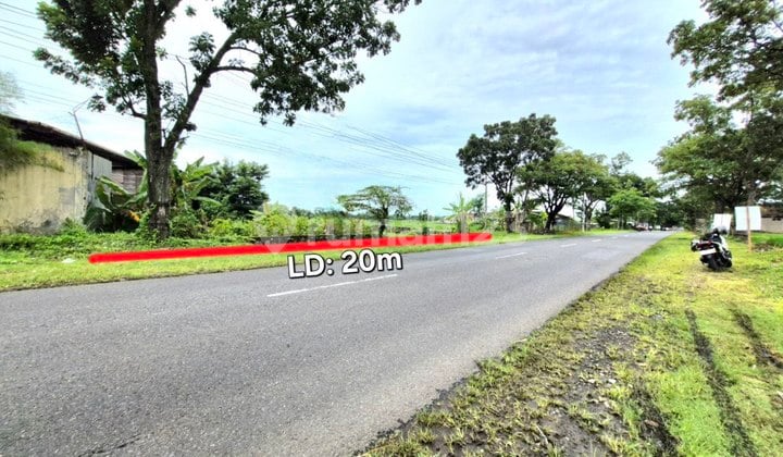 Tanah Perkarangan Luas Murah di Jalan Provinsi