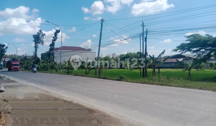 Tanah Perkarangan Strategis Mangku Jalan Pro