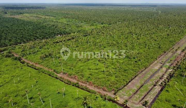 Dijual Murah Tanah Kalimantan Barat Mempawah 21 Rb M2 Seluas 30 Ha