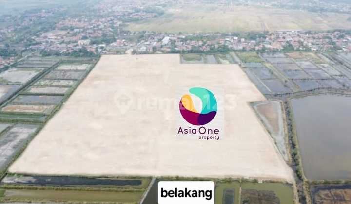 Tanah 166000 m2 SHM Brebes, Brebes