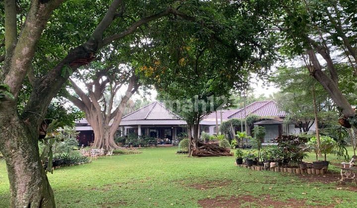 Rumah Dengan Luas Tanah Super Luas Asri Nyaman Seperti Villa Lokasi Strategis Investasi Tinggi Dibawah Harga Pasar
