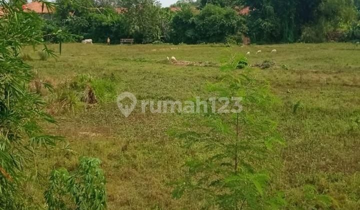 LAND IN TEGAL PANJANG, CIBARUSAH CIKARANG Area 13,000 M2 PRICE IDR 1.2 MILLION/M2