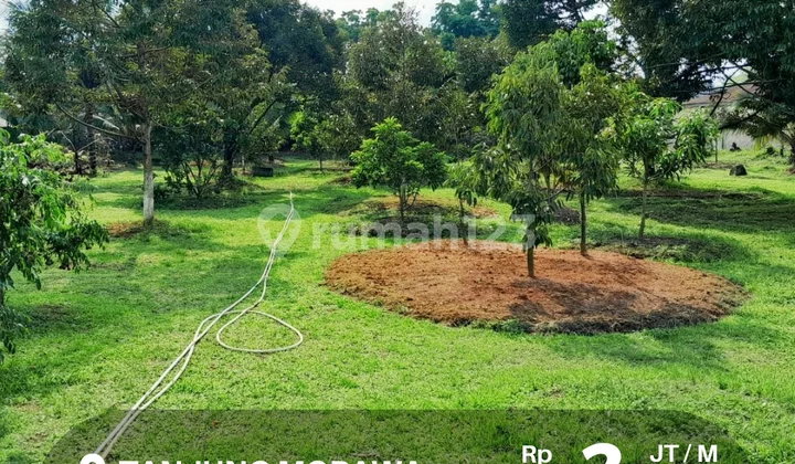 Tanah Tanjung Morawa, Sudah Tembok Keliling, SHM