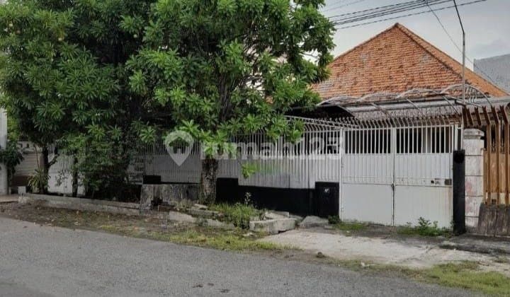 Disewakan Rumah Pusat Kota Surabaya Jl Kemuning