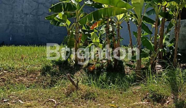 Buyer Only, Kavling Araya 2, Row 2,5 Mobil