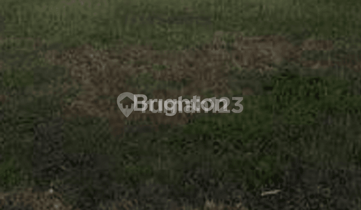 DHARMAHUSADA PLOT, MULYOREJO, MANYAR, NEAR UNAIR CAMPUS, GALAXY MALL DHARMAHUSADA PLOT, MULYOREJO, MANYAR, NEAR UNAIR CAMPUS, GALAXY MALL