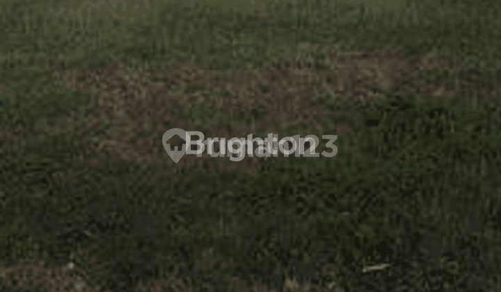 KAVLING DHARMAHUSADA, MULYOREJO, MANYAR, DEKAT KAMPUS C UNAIR, GALAXY MALL