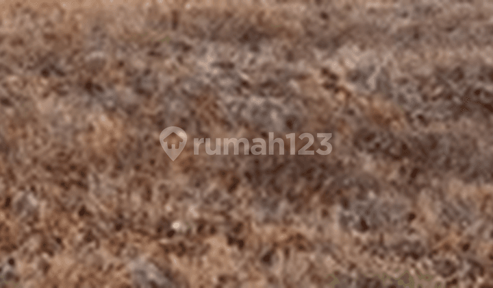 Buyer Only Rare Land Plot Embong Gayam Surabaya Near Hotel, Mall