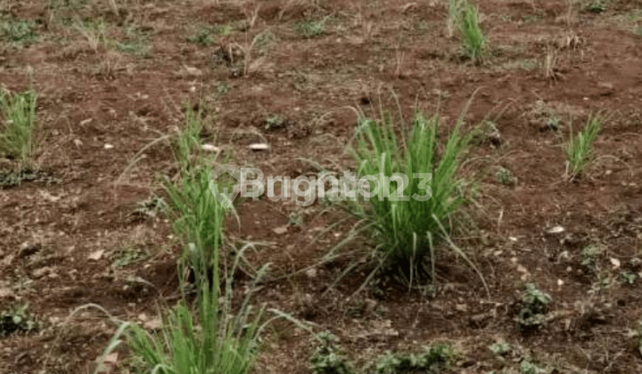 LAND 3 MILLION INDUSTRIAL MASPION MANYAR GRESIK, SOUTH FACING LAND 3 MILLION INDUSTRIAL MASPION MANYAR GRESIK, SOUTH FACING