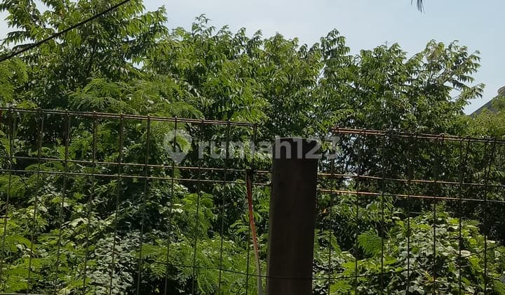 Tanah Kosong Sudah Shm Lokasi Strategis Dekat Mall Di Pinggir Jalan Raya Muara Karang Pluit