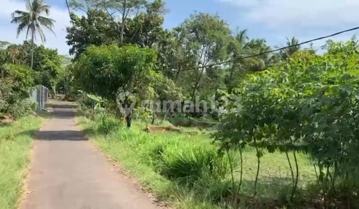 Tanah Murah Sudah SHM Terletak di Beber Cirebon Barat