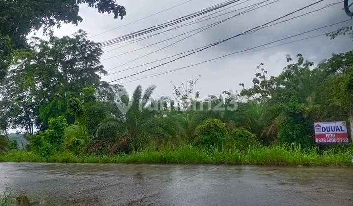 Turun harga !!!!!Dijual tanah komersil di pinggir jalan utama Turun harga !!!!!Dijual tanah komersil di pinggir jalan utama