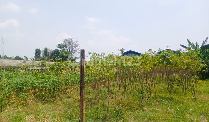 Disewakan tanah cocok untuk gudang,workshop, lapangan futsal