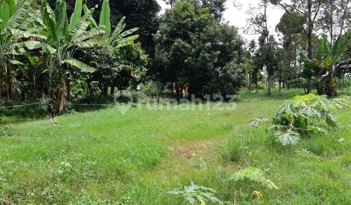 Dijual Lahan Di Daerah Pantai Cermin Seluas 14 Hektar