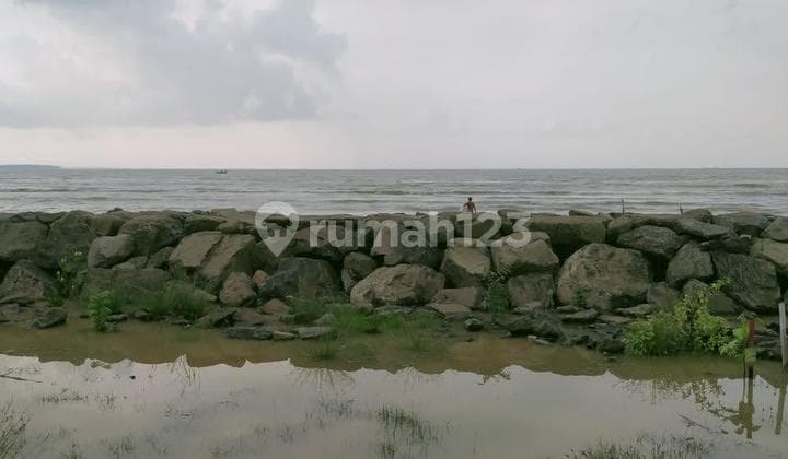 Dijual Tanah Dipanimbang Hanya 1 Km Dari Tol Serang-panimbang Lokasi Strategis