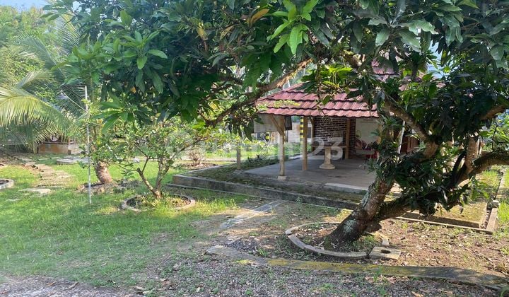 Jual Rumah Ex Kantor Lokasi Strategis di Pandeglang