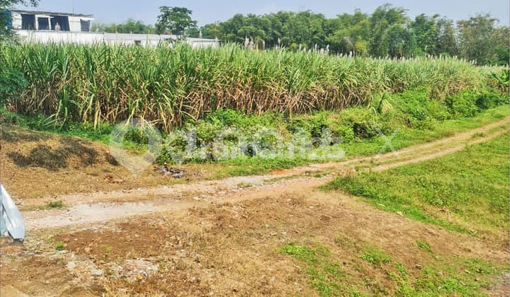 Tanah Kavling Raya Randuangung, Singosari, Malang, Jawa Timur