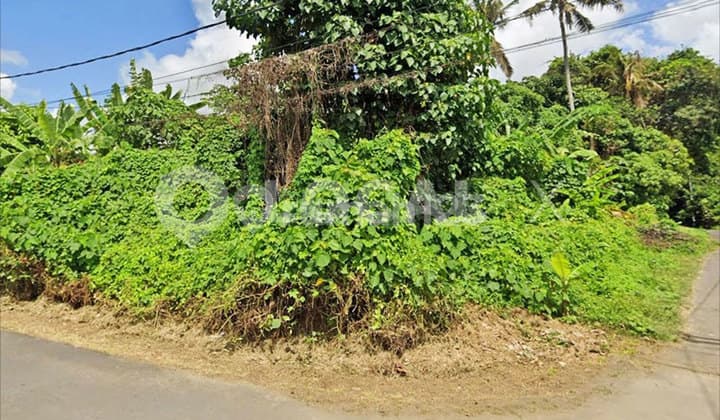 Tanah Kavling Lodtunduh, Ubud, Gianyar, Bali
