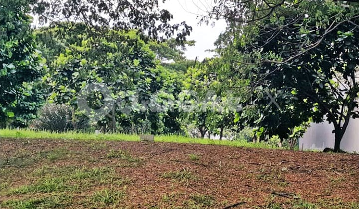 Kavling Tanah Royal Orchard, Kelapa Gading, Jakarta Utara