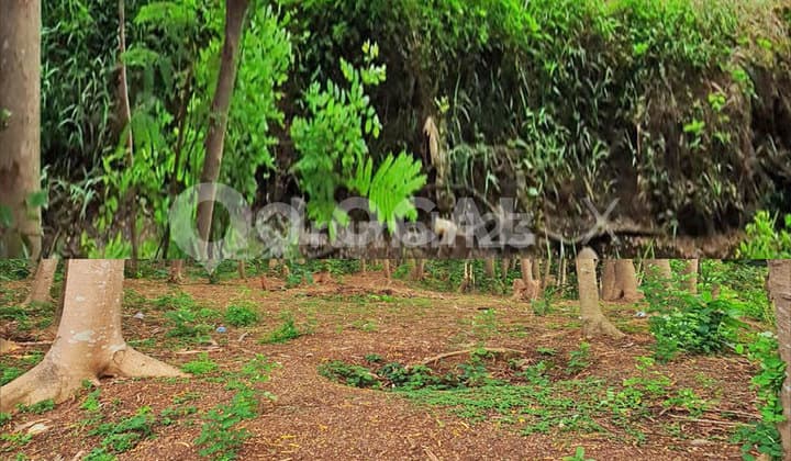 Tanah Kavling Raya Kelapa Dua Wetan, Ciracas, Jakarta Timur