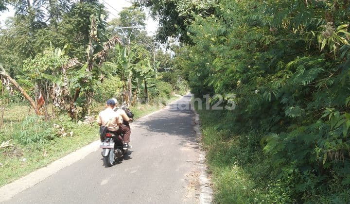Sale of garden land near Haji Gofur horse tourism site