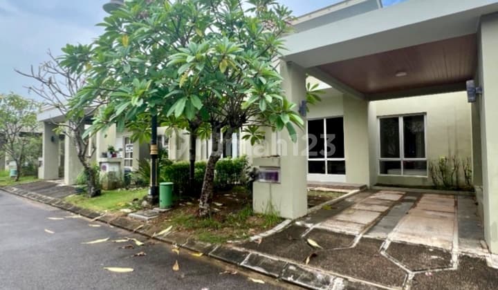 Jual Cepat Rumah Murah Full Interior Baru Di Orchard Park Batam Center