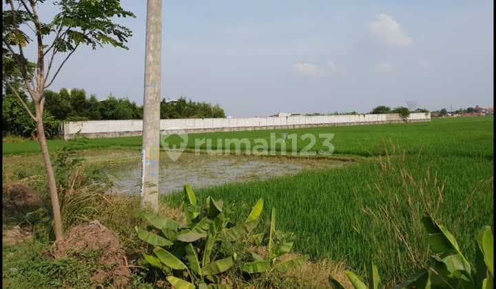 Tanah Komersil Siap Pakai di Karawang Barat Jawa Barat