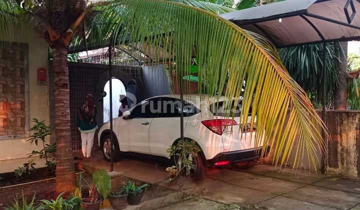 Price Drop! Charming Tropical House in Kayu Putih – Spacious Yard, Strategic Location, Only 9m Negotiable!