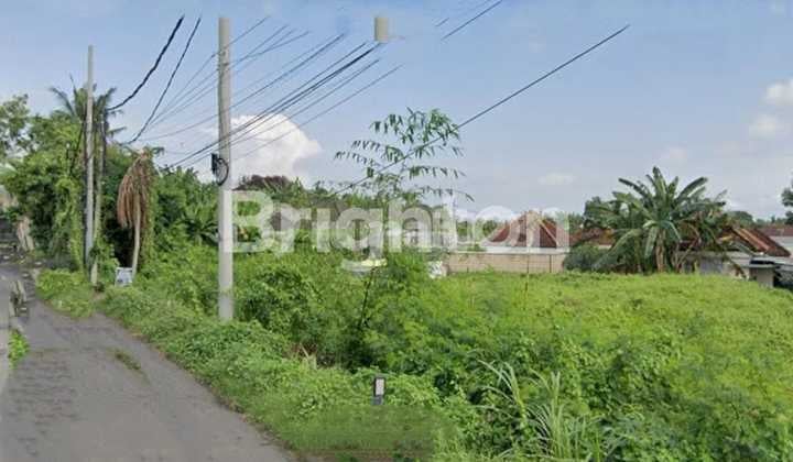 Di Jual Tanah Strategis Cocok Untuk Usaha Lokasi Bongan Tabanan