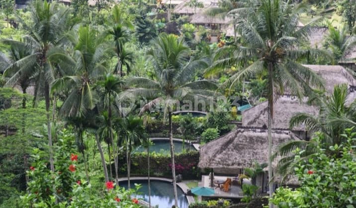 Resort To Sale / di Jual Resort