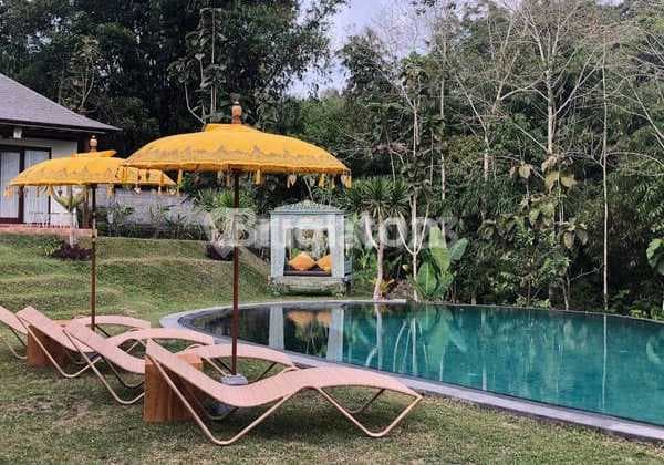 Villa 4 Unit Asri View Gunung Juga Kebun Jeruk di Payangan Ubud