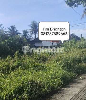 Tanah Disewakan Cocok untuk Usaha Lokasi Denpasar Utara