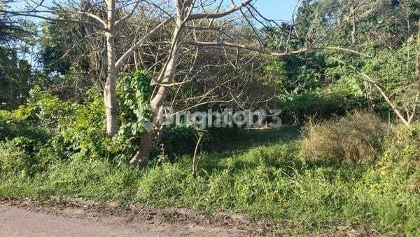 Tanah Dekat Pantai Lokasi Keramas Gianyar Cocok Investasi Villa